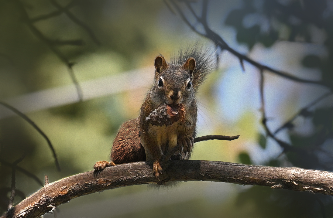 a pinecone snack 