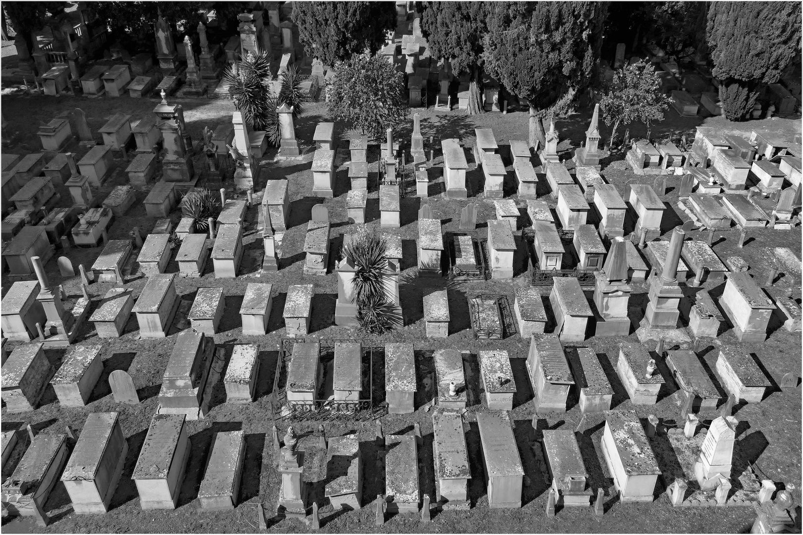 A Pise ,le plus ancien cimetière Juif d Europe