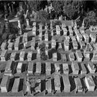 A Pise ,le plus ancien cimetière Juif d Europe