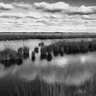 A place to bury strangers...III