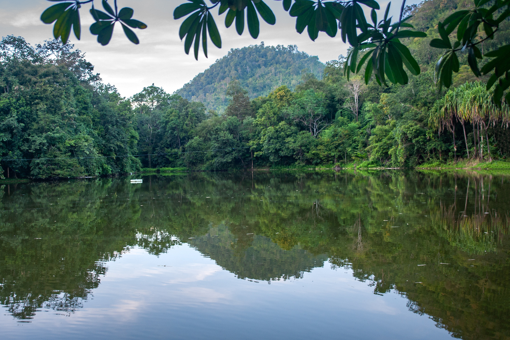 A pond in the nature park