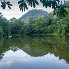 A pond in the nature park