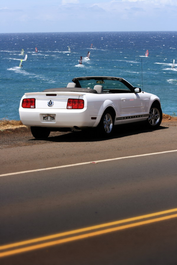 A pony at Ho'okipa