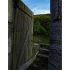 A Porta da Vinha - Aigle- Suiça