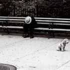 A power napper and a dog in washington Square Park, NYC