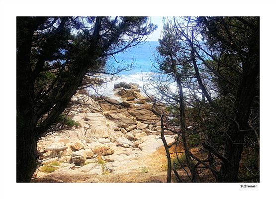 A proximité de Scandola (Corse du Sud)