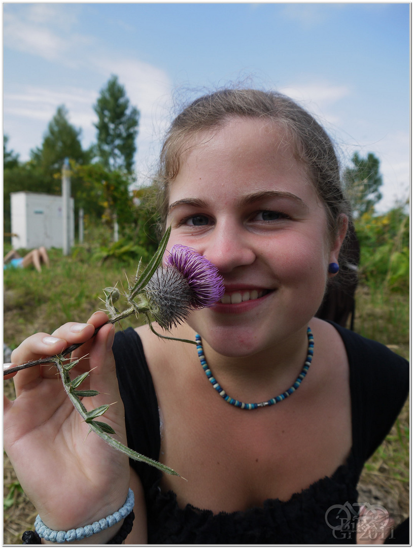 A purple flower