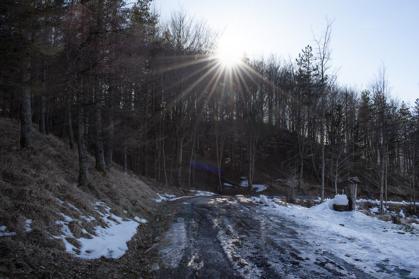 A quale età si osserva meglio la luce?