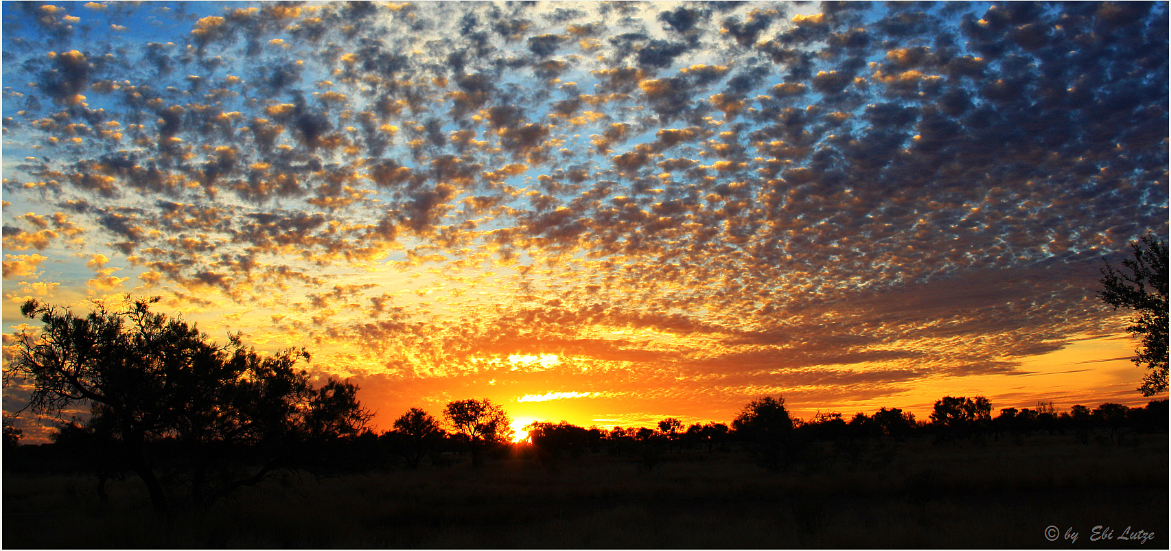 *** A Queensland Sun Set ***