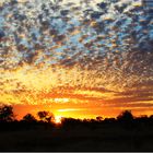 *** A Queensland Sun Set ***