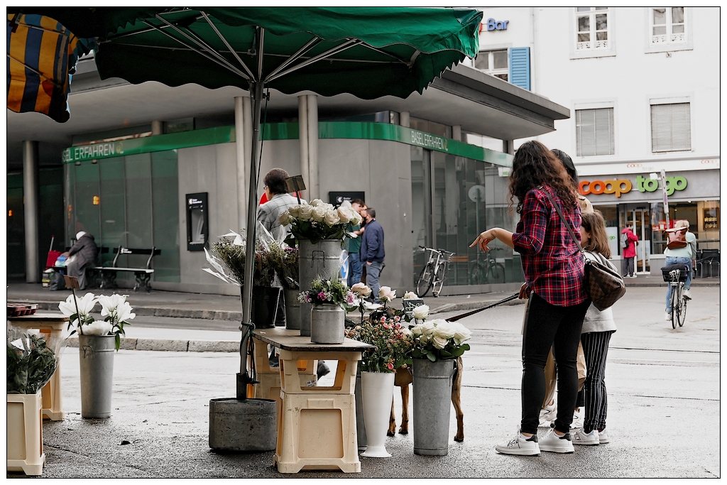 à quel prix, vos derniéres roses ?