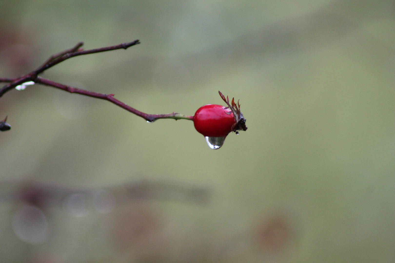 a rainy day