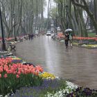 A rainy day &#305;n Istanbul ( 2 )