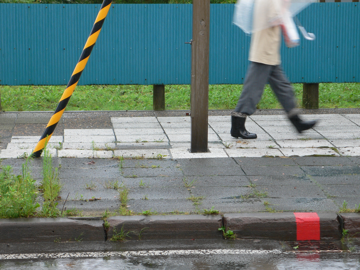 A rainy day at Hokkaido