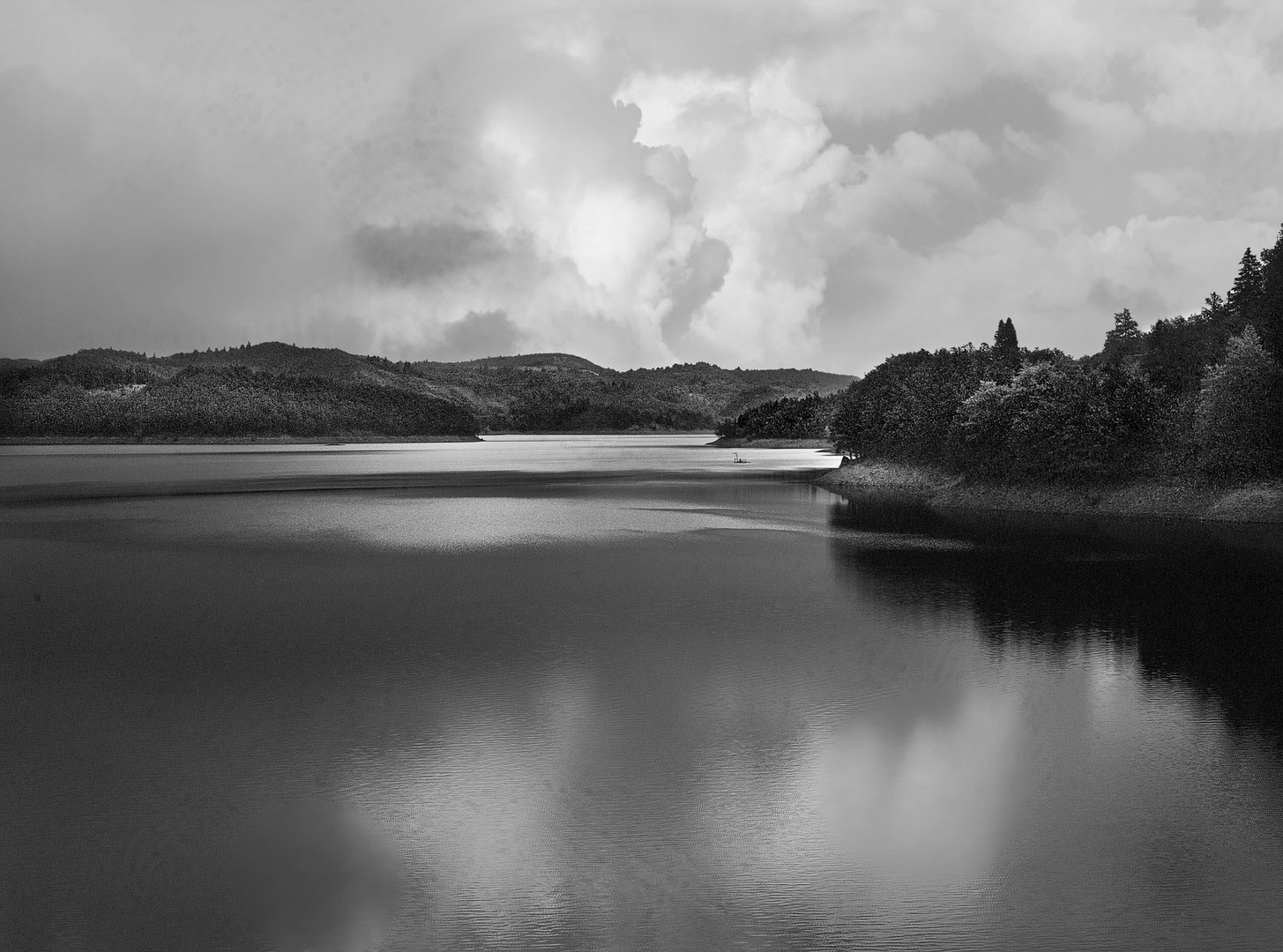 A rainy day by the lake 3