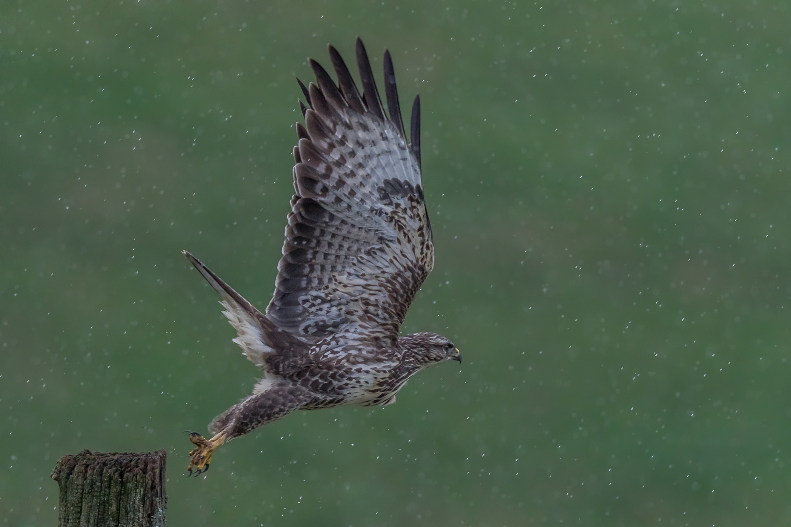 A rainy day!