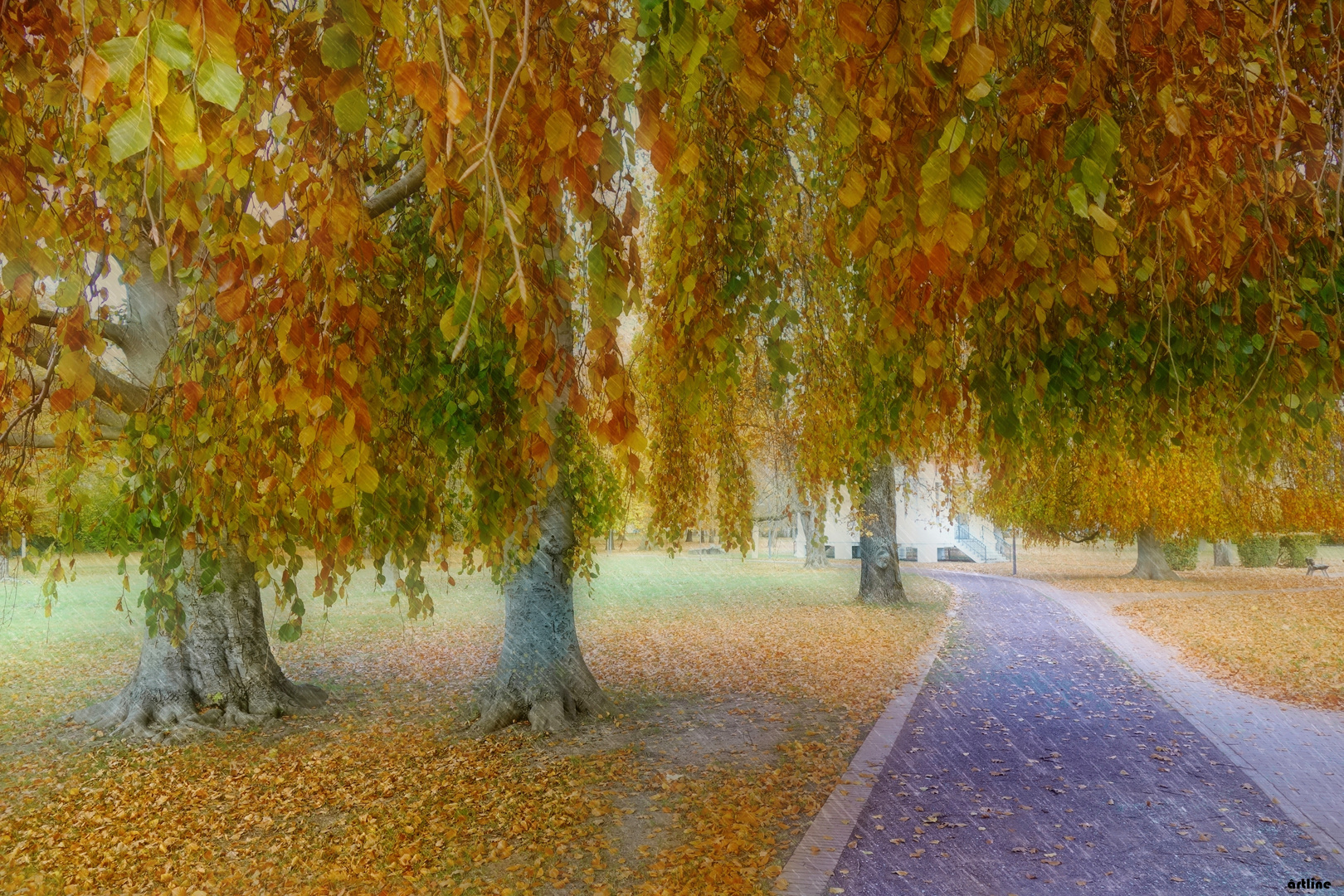 a rainy day in autumn