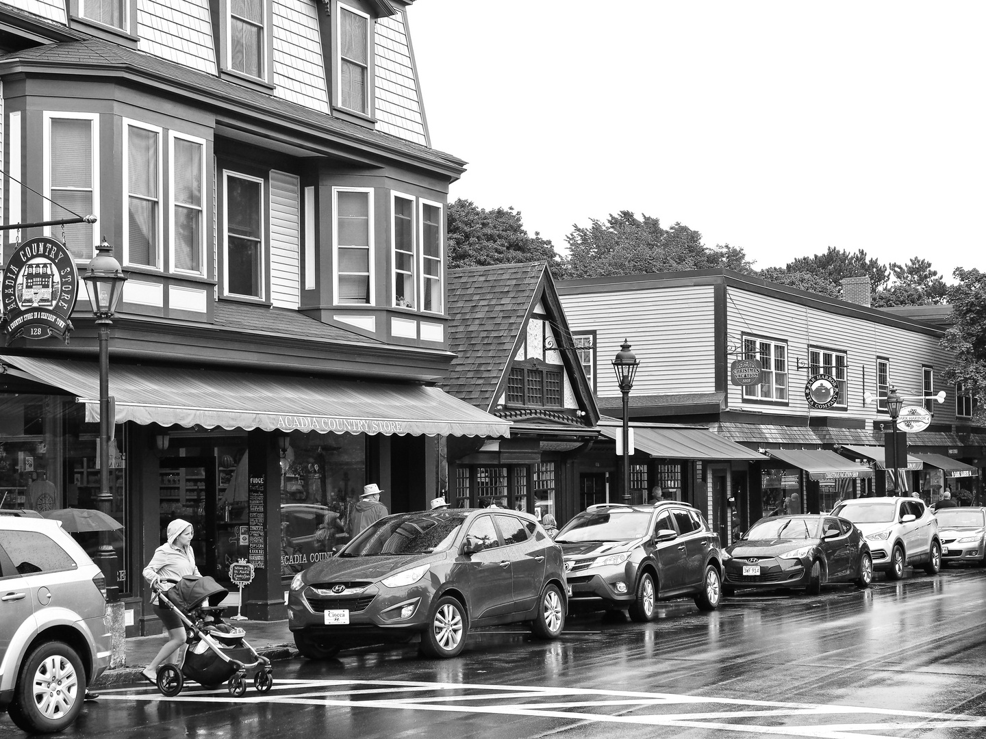 A Rainy Day In Bar Harbor (Maine)