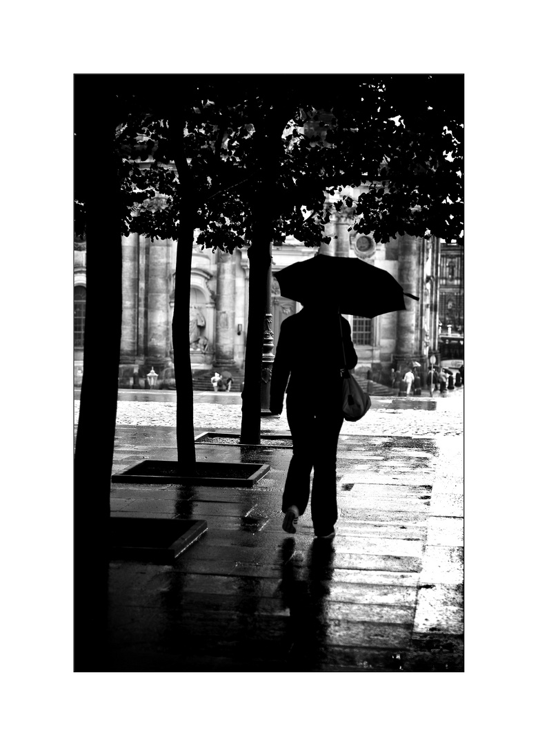 a rainy day in dresden