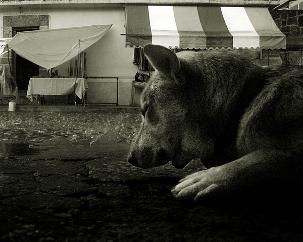 A rainy Day in Tepoz.Mexico