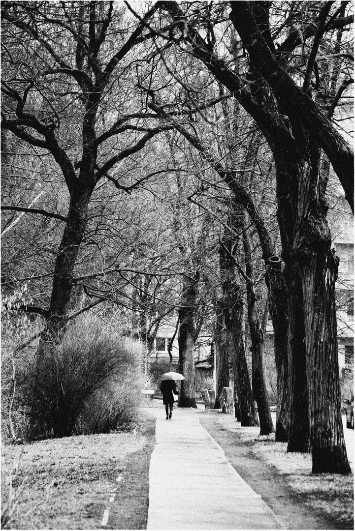 A rainy day in Wilmersdorf