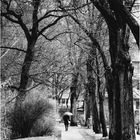 A rainy day in Wilmersdorf