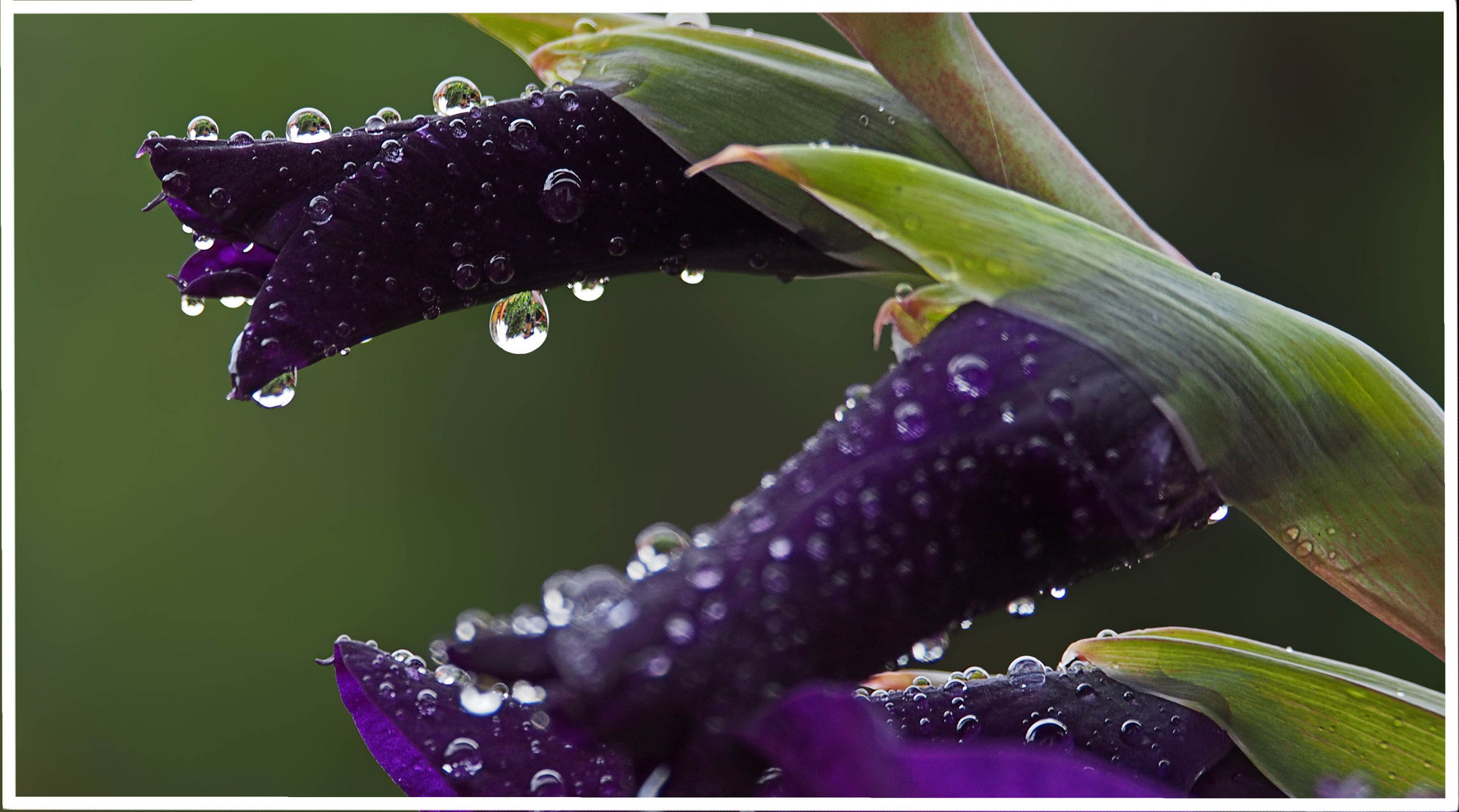 a rainy summer day