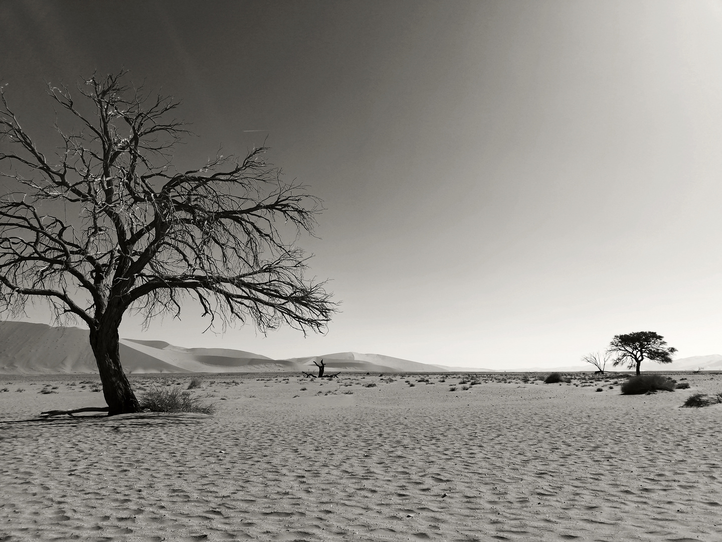 A real dry and thirsty landscape