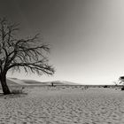 A real dry and thirsty landscape