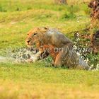 a refreshing bath