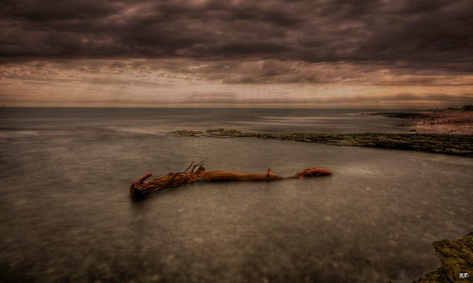 à regarder la mer !!!!!