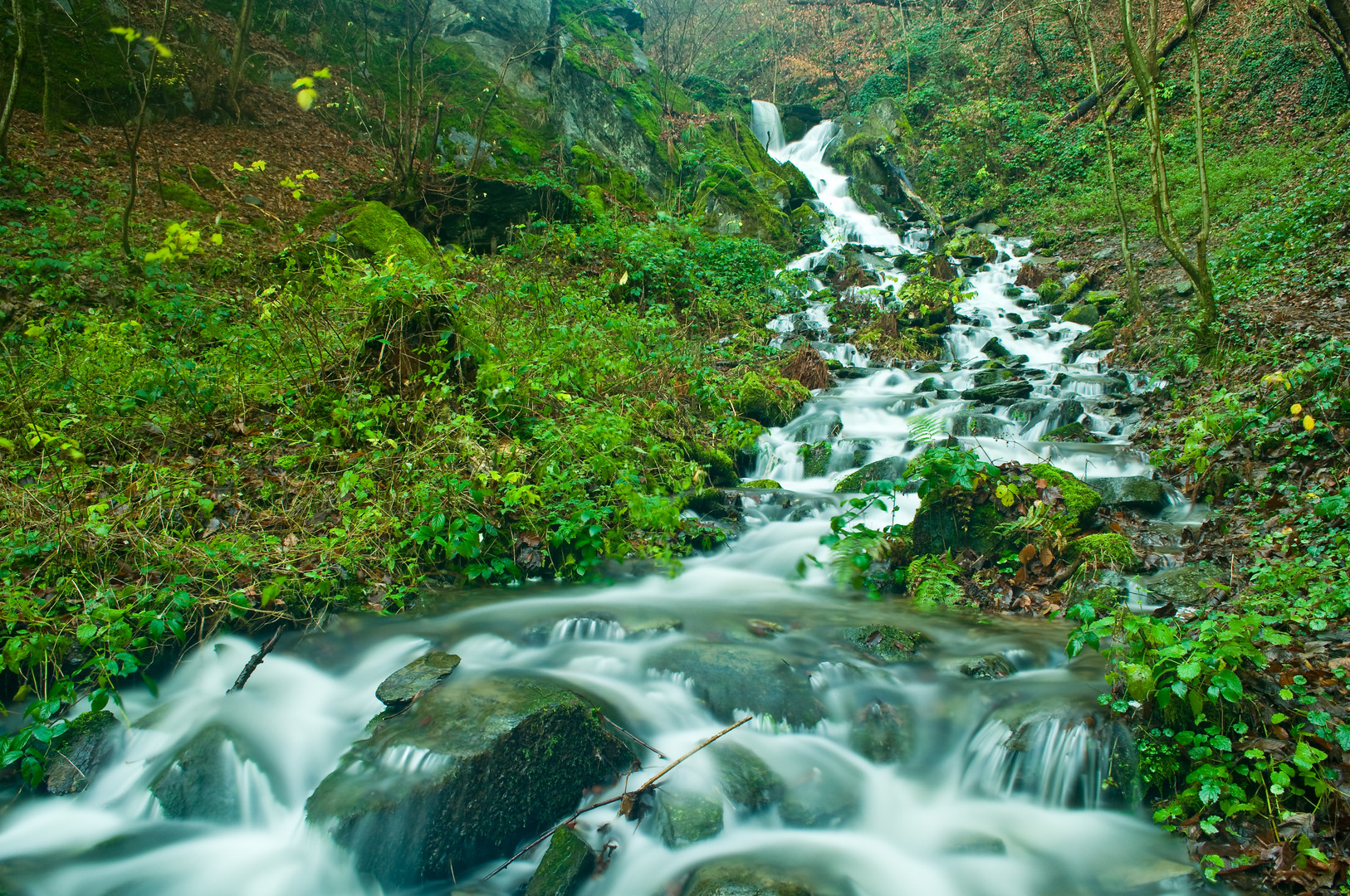 A river runs through