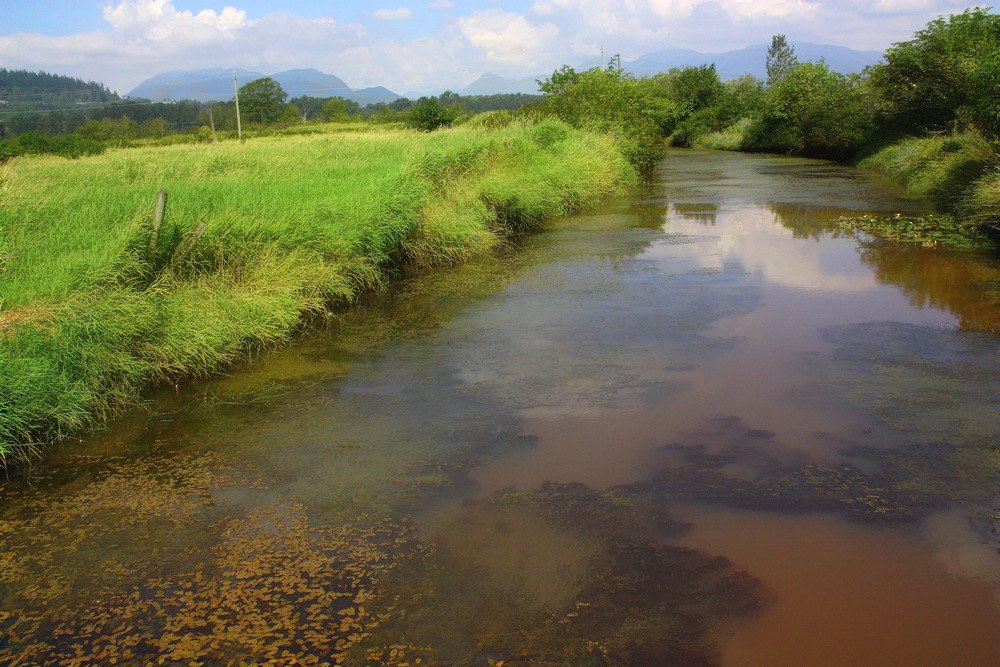 A River runs through it