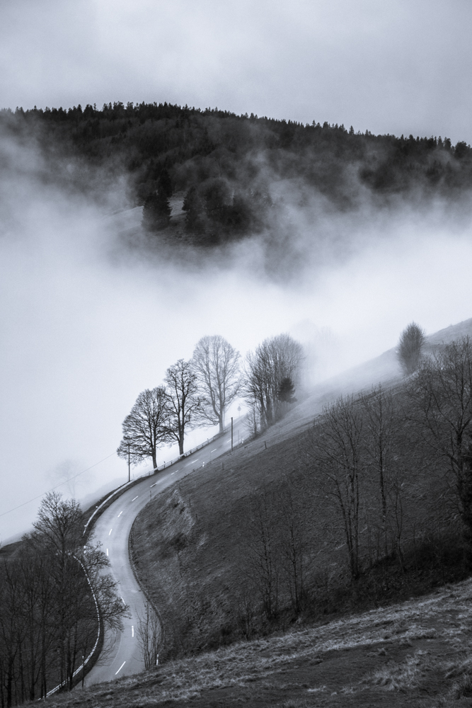 A road into the fog!