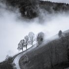 A road into the fog!