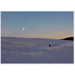 A romantic walk in the sun and moonlight