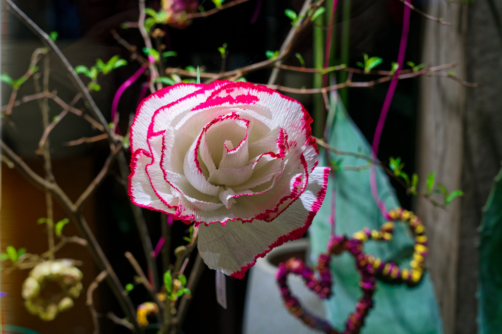 A Rose for Valentino