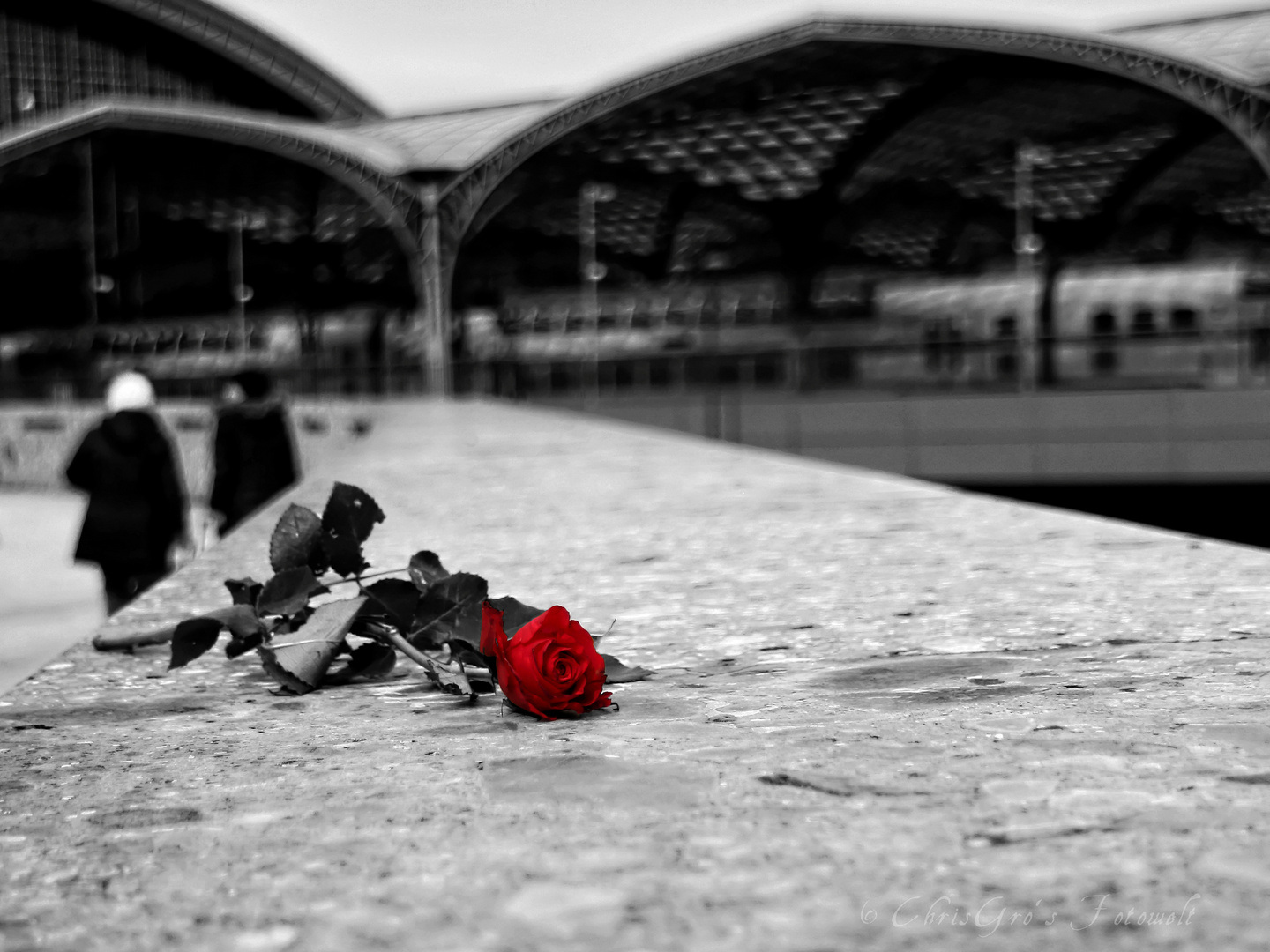 A Rose left for you...