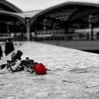 A Rose left for you...