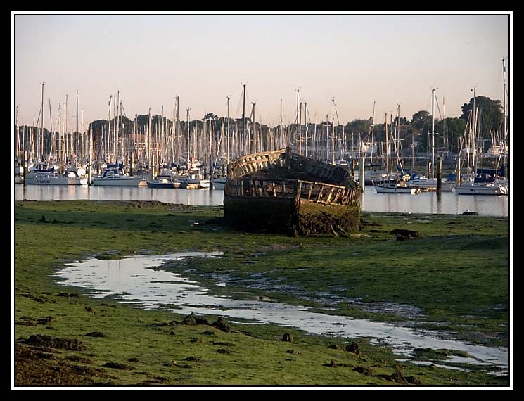 A Rotting Hull