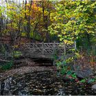 A Rustic Bridge in The Ramble - A Central Park Autumn  Impression