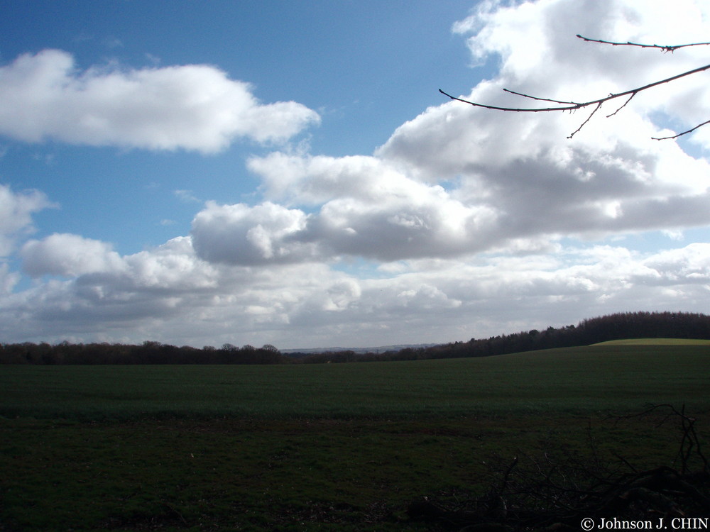 A scene on Keele University campus