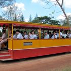 A school class in a trolley car