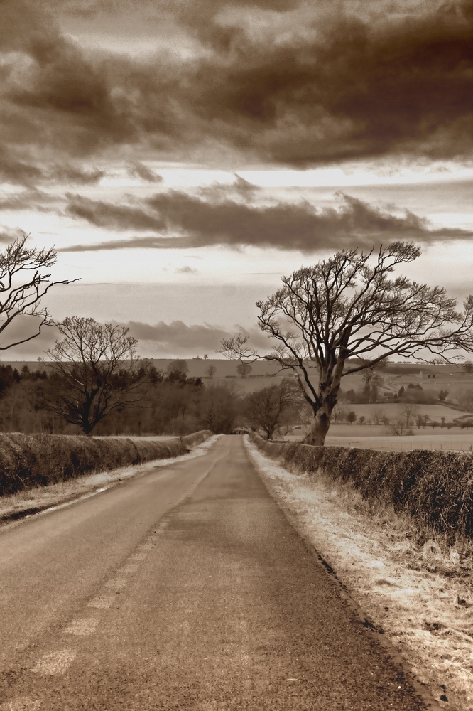 A Scotch Road