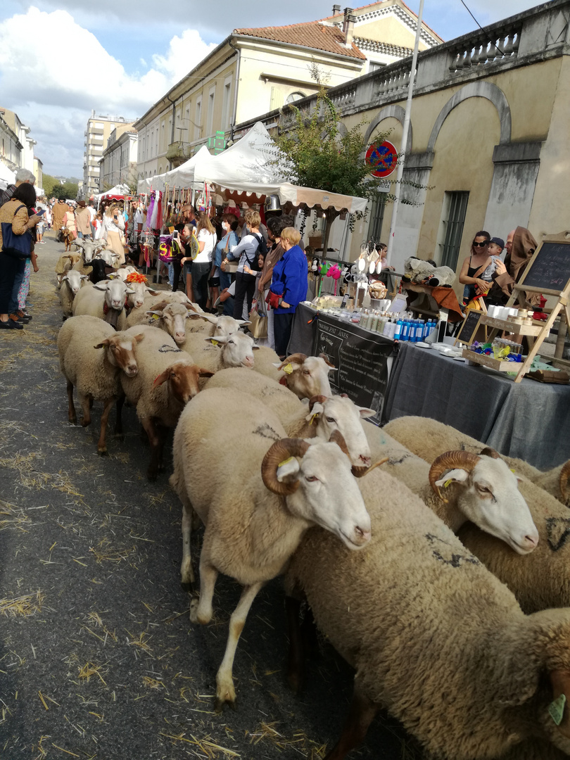 ça se bouscule à Alès !