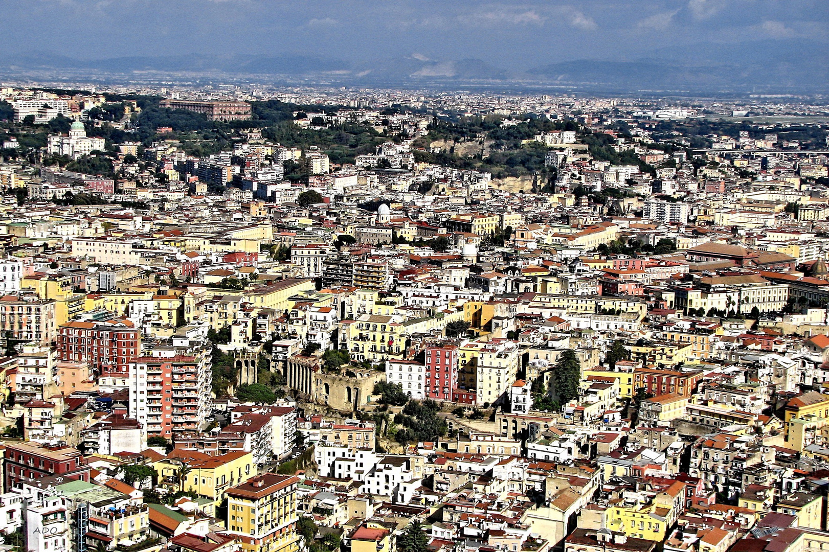 A Sea of Houses