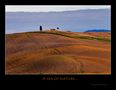 A sea of nature.....Terre senesi... von Paolo Vannucchi 