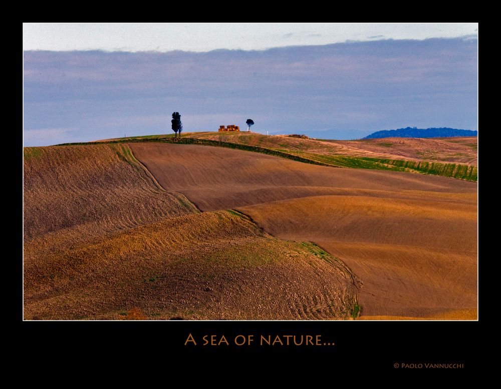 A sea of nature.....Terre senesi...