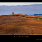 A sea of nature.....Terre senesi...