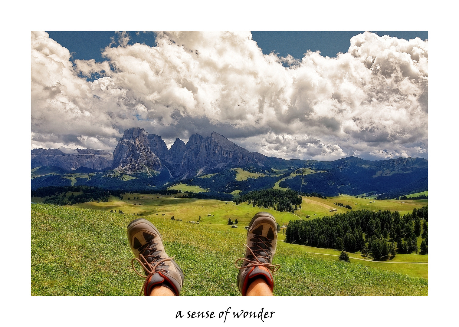 "a sense of wonder" - ein Gefühl des Staunens